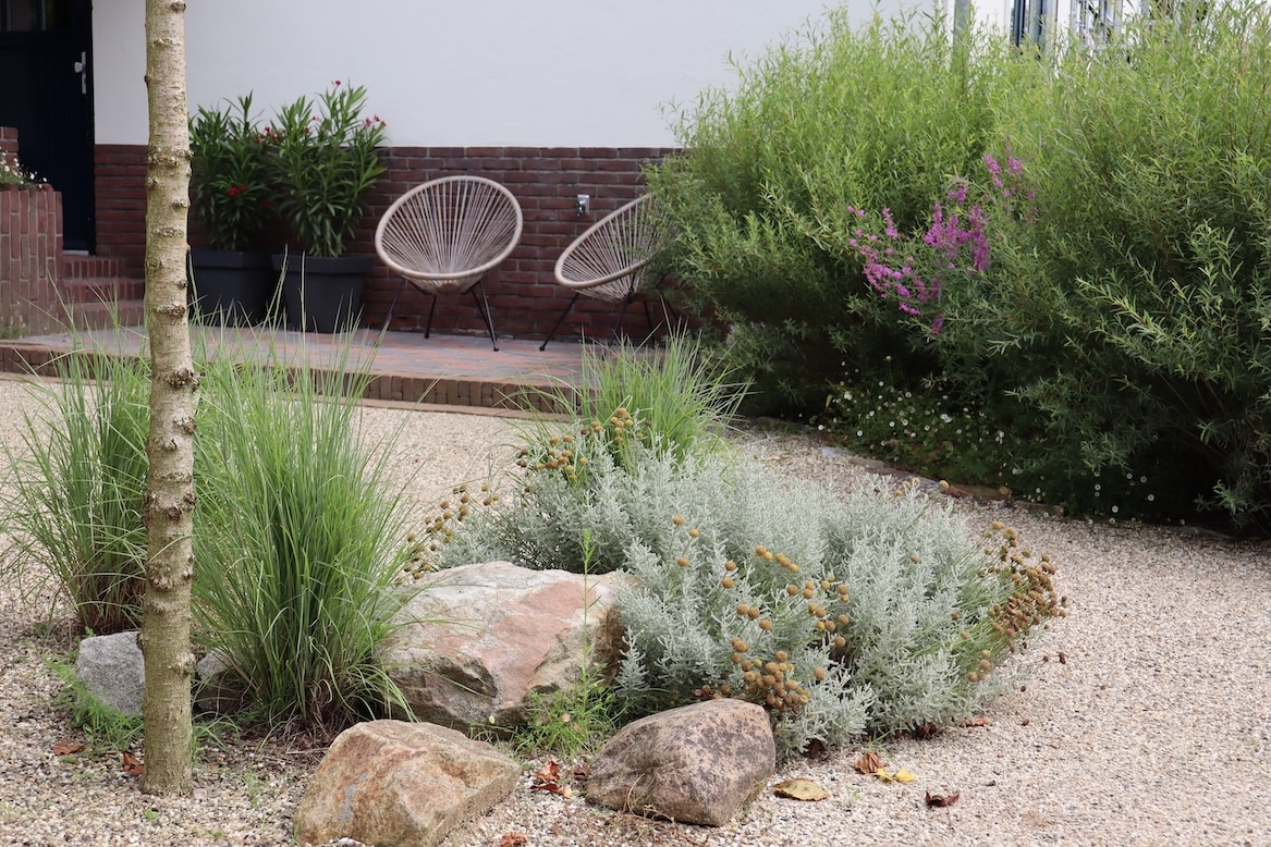 natuurlijke rotstuin met padvast