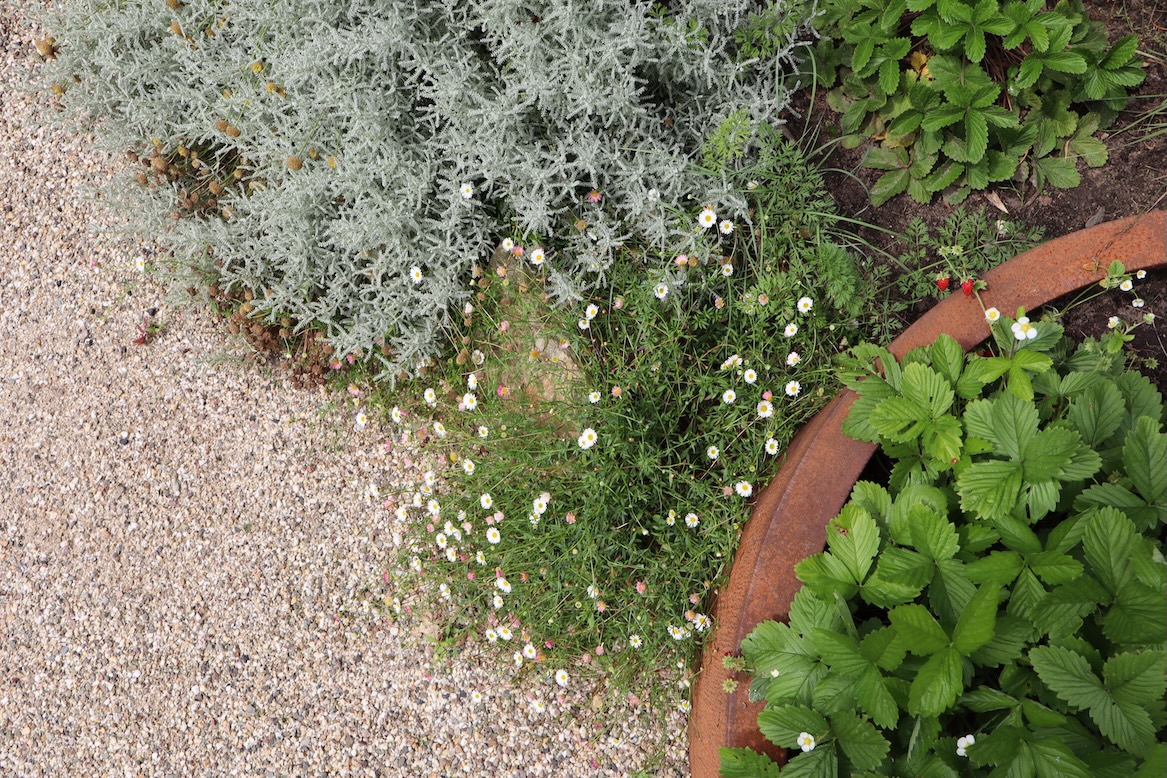 moderne tuin met een moestuinbak van cortenstaal